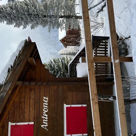 Alphorn - Cosy Chalet Chalet Saas Fee